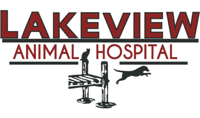 Lakeview Animal Hospital-HeaderLogo